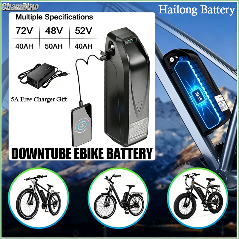 Ebike Battery 48V 20Ah Hailong - E-Bike Akku Hailong 48V 72V 52V