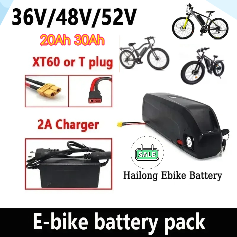 36-48-52V Hailong-Akku mit BMS – Ebike Battery 48V 20Ah Hailong Bewertung und Preis